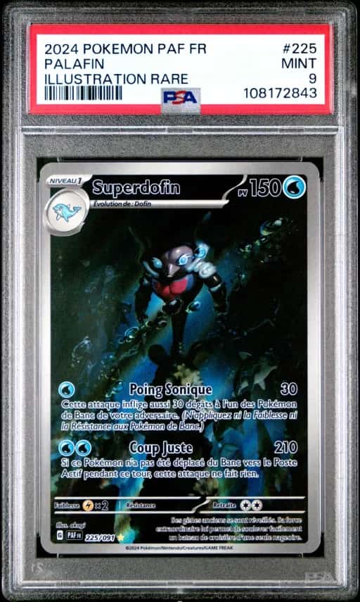 Superdofin 225/91