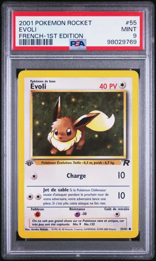 Évoli 55/82