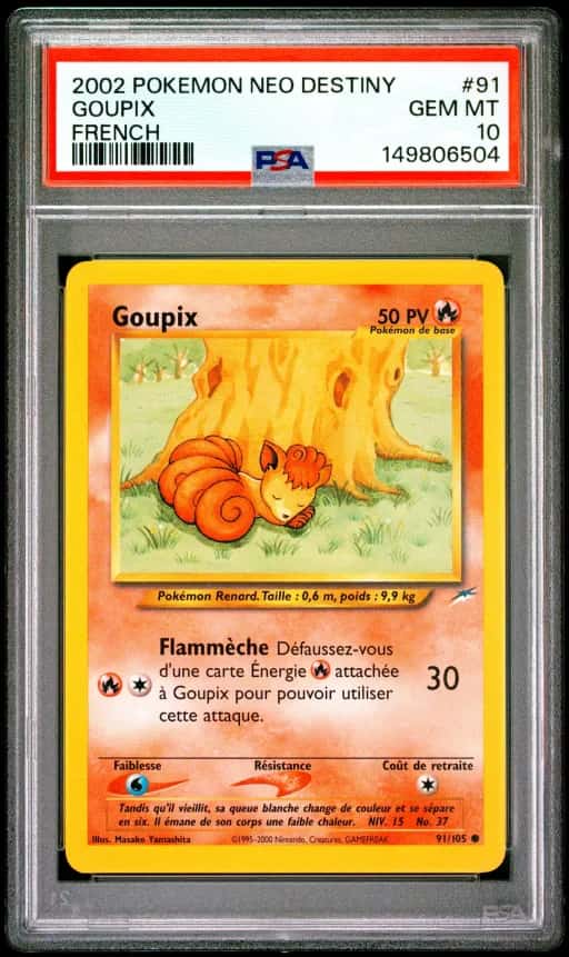 Goupix 91/105