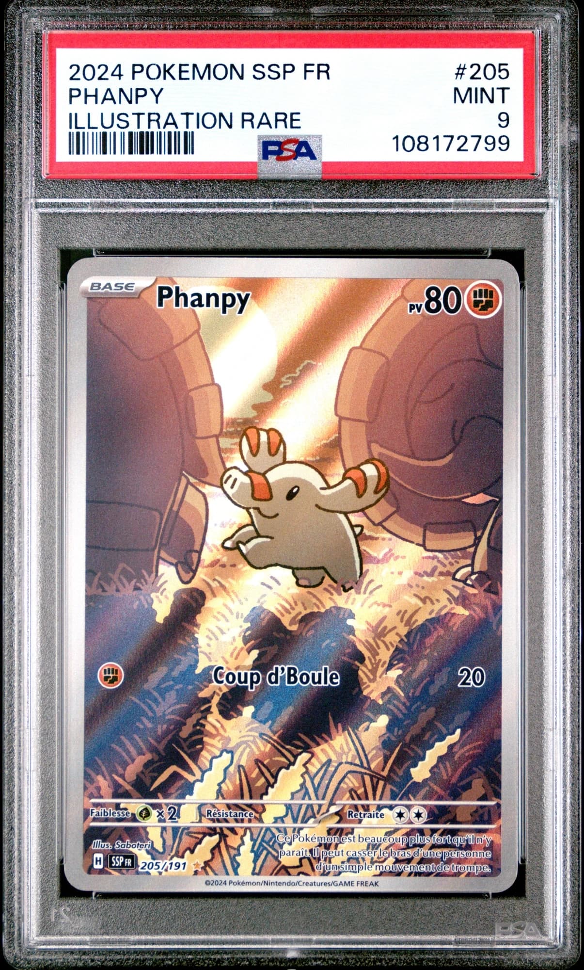 Phanpy 205/191