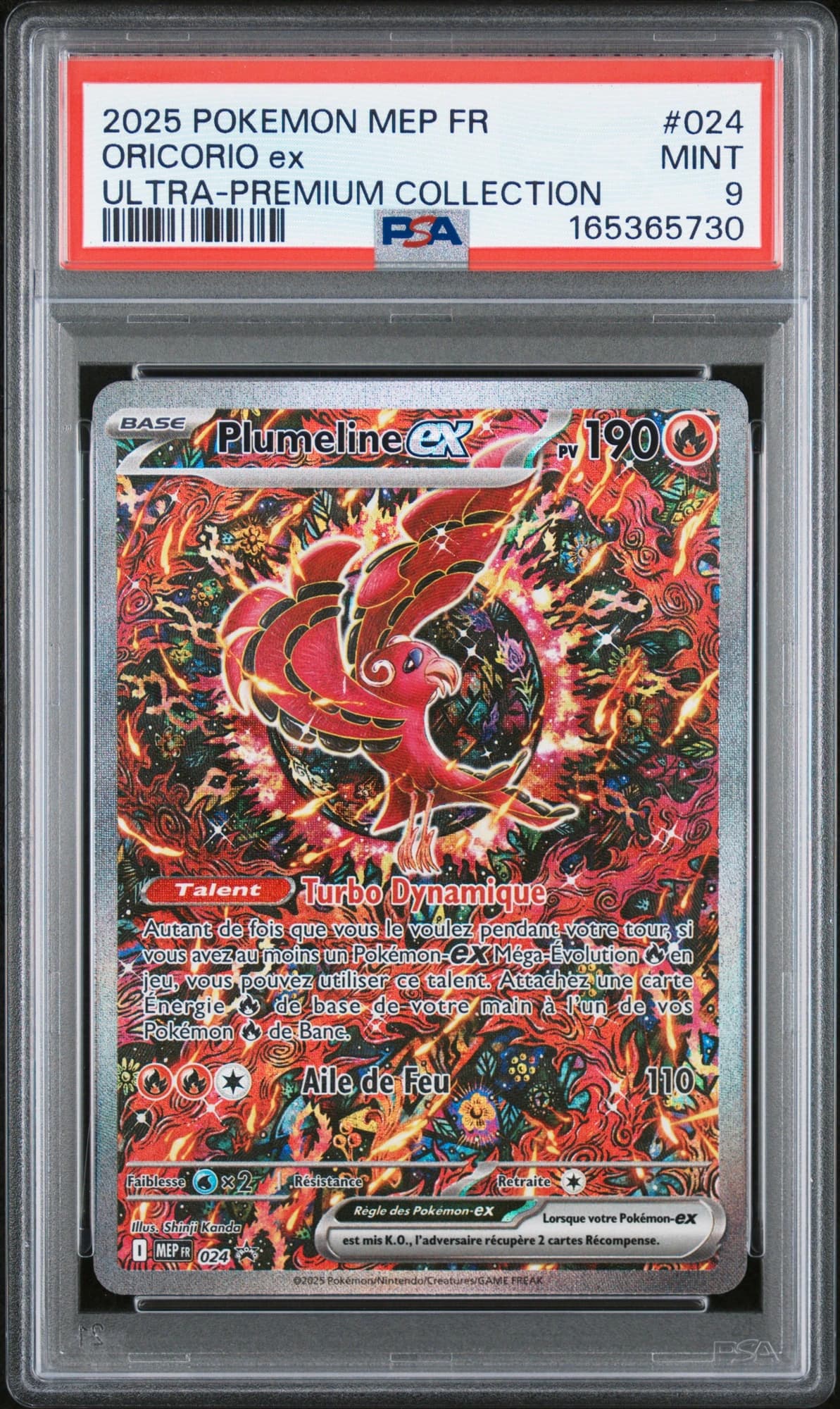 Plumeline ex 024/6