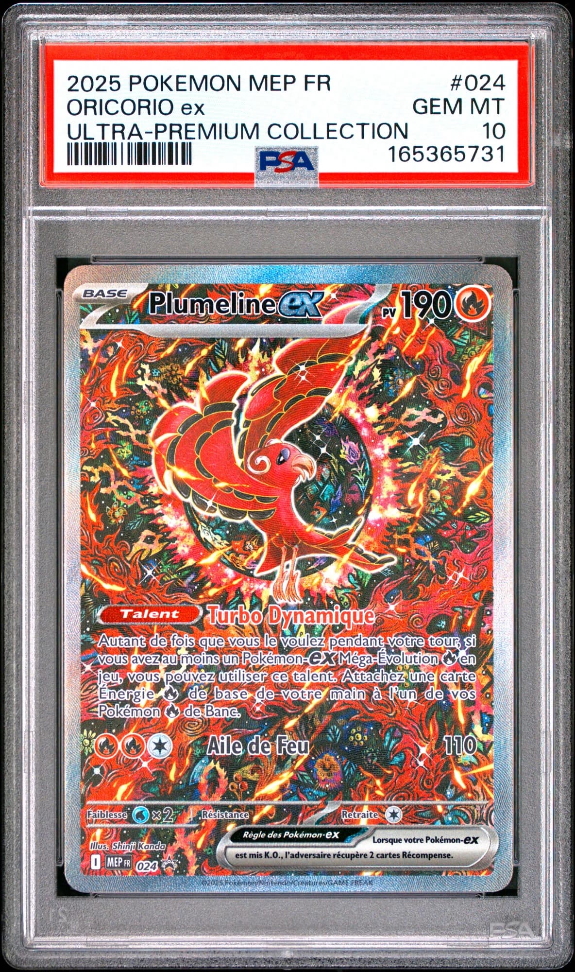 Plumeline ex 024/6