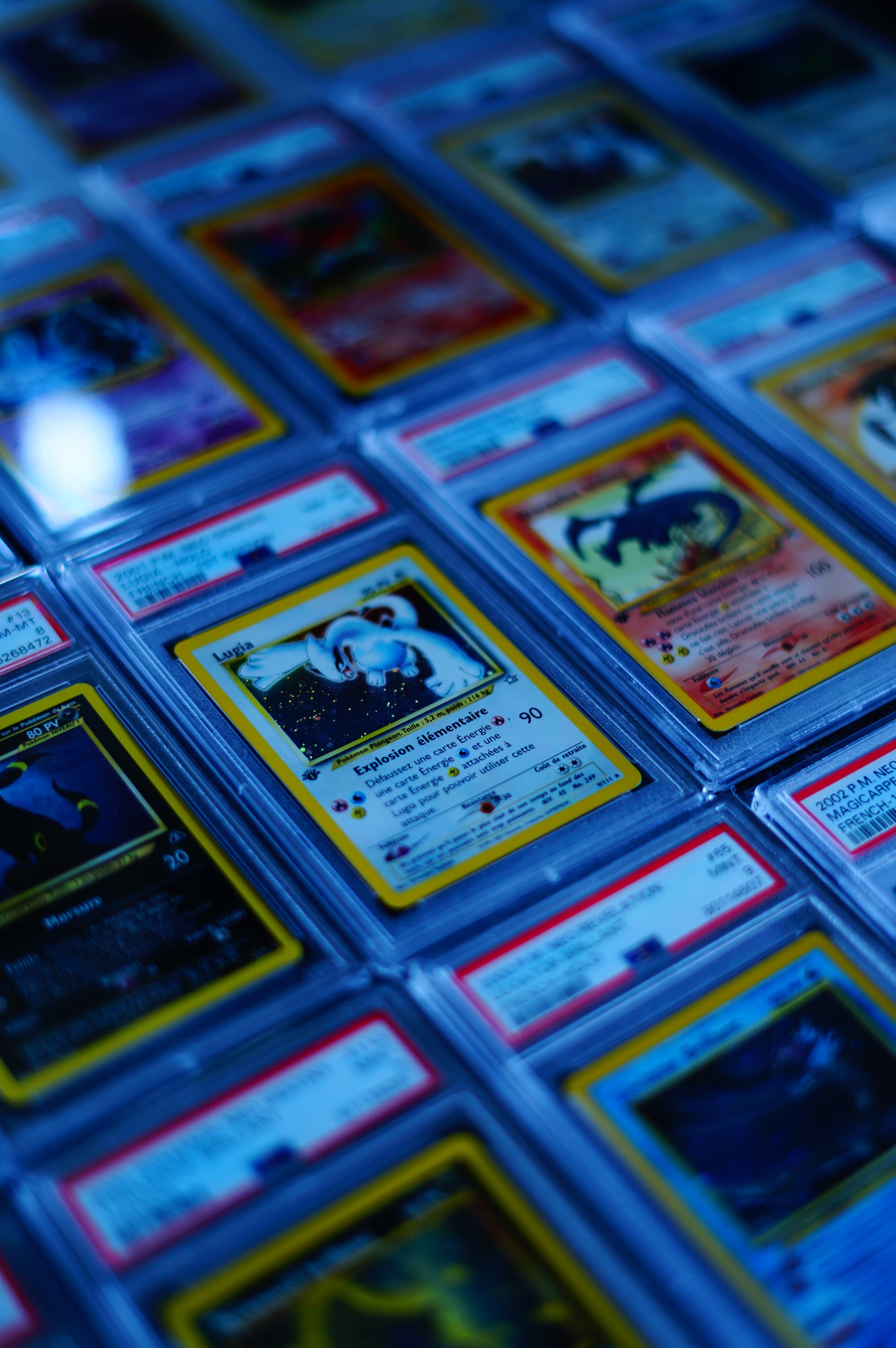 Cartes Pokémon certifiées dans leurs boîtiers de protection